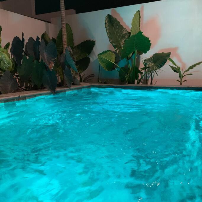 Le Yucca 974 By J&V Villa Saint Pierre Ngoại thất bức ảnh