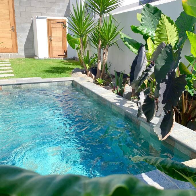 Le Yucca 974 By J&V Villa Saint Pierre Ngoại thất bức ảnh