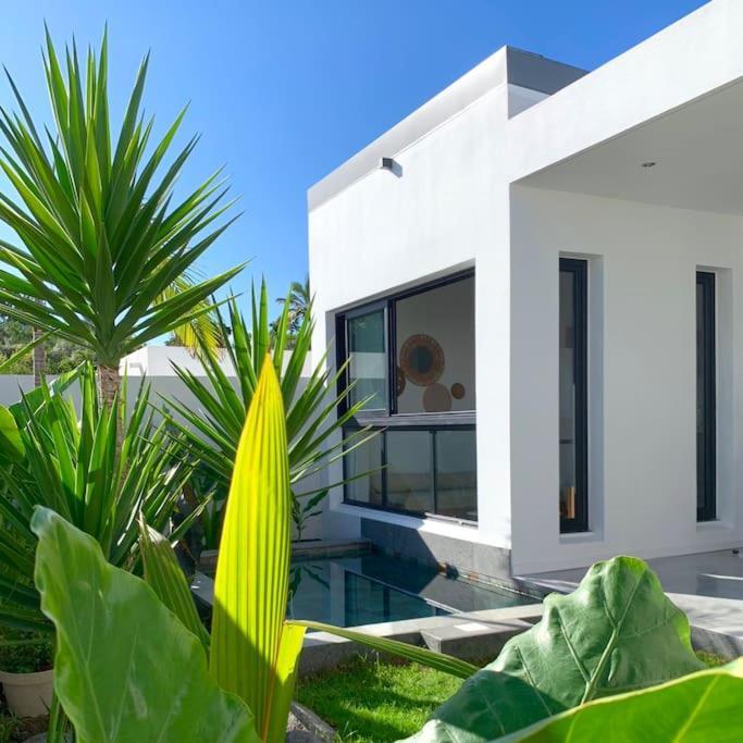 Le Yucca 974 By J&V Villa Saint Pierre Ngoại thất bức ảnh