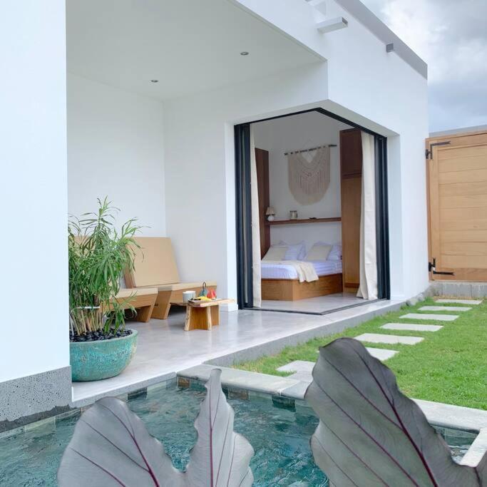 Le Yucca 974 By J&V Villa Saint Pierre Ngoại thất bức ảnh