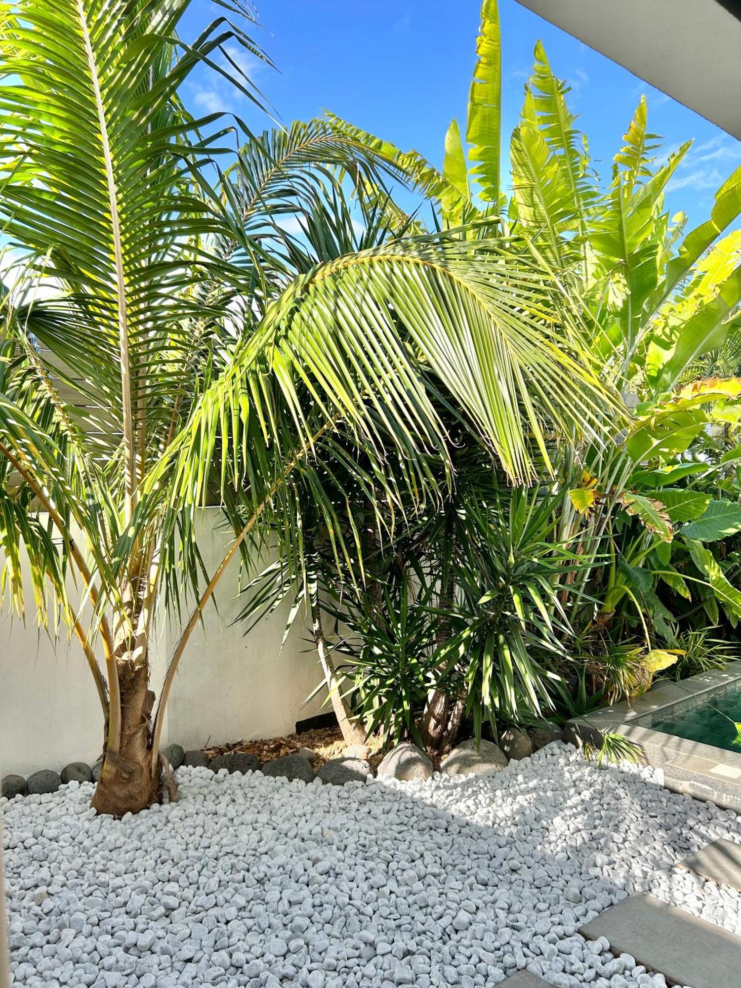 Le Yucca 974 By J&V Villa Saint Pierre Ngoại thất bức ảnh